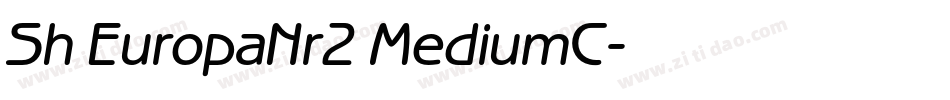 Sh EuropaNr2 MediumC字体转换